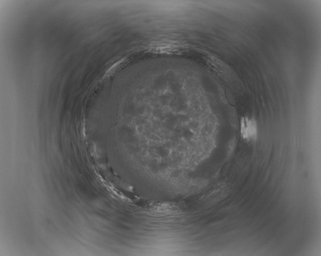 X0000079291155200612011716