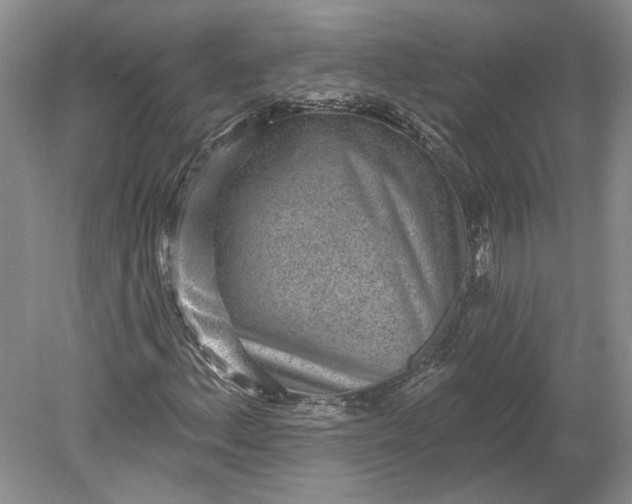 X0000079291156200612011716