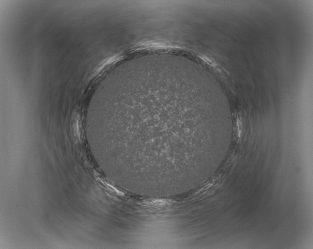 X0000079291157200612011716
