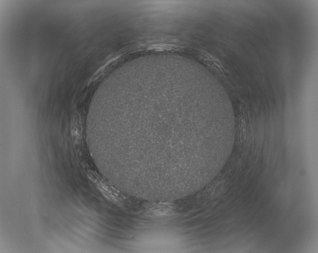 X0000079291158200612011716