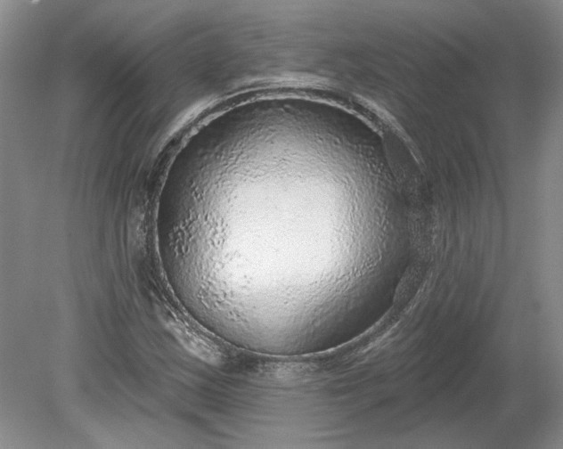 X0000079291163200612011716