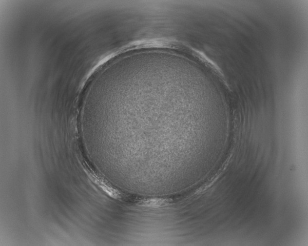 X0000079291166200612011716
