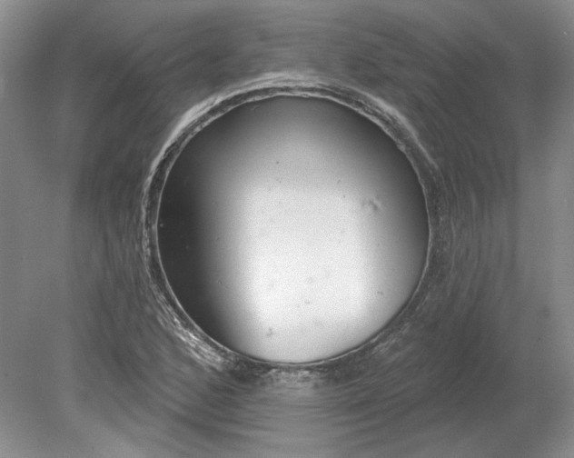 X0000079291168200612011716