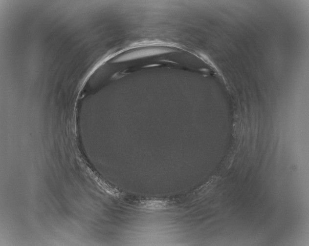 X0000079291173200612011716