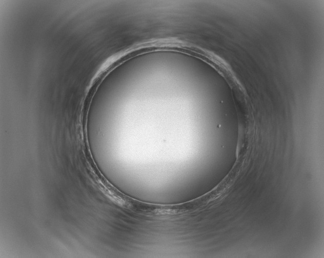 X0000079291176200612011716