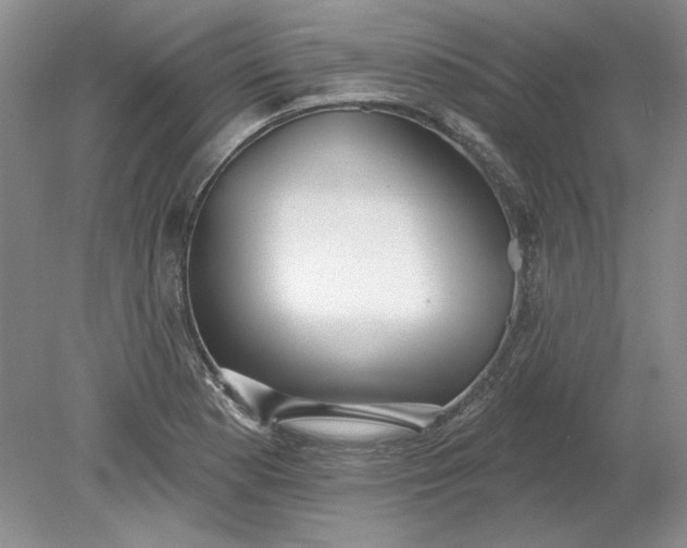 X0000079291177200612011716