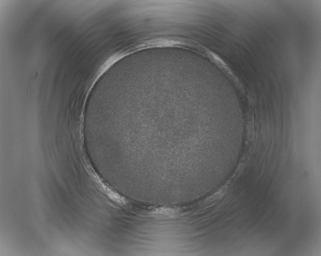 X0000079291178200612011716