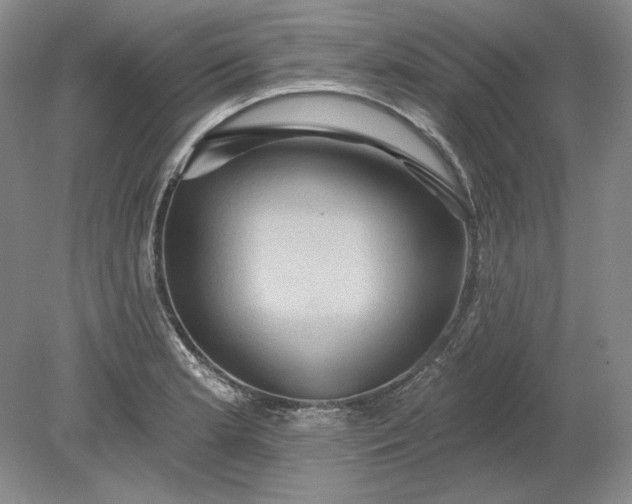 X0000079291181200612011716