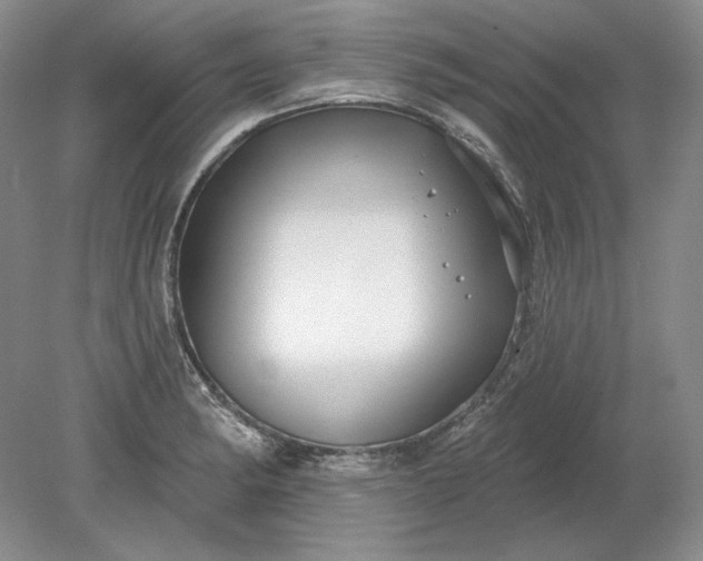 X0000079291182200612011716