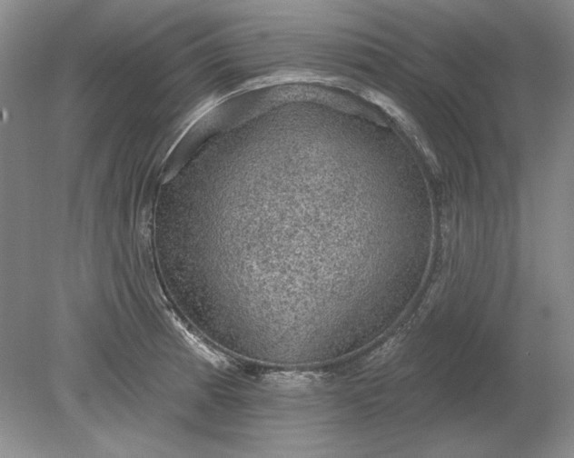 X0000079291185200612011716