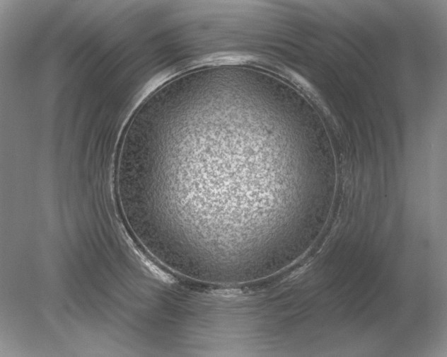X0000079291186200612011716