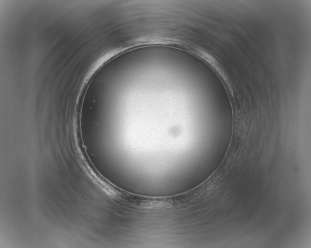 X0000079291187200612011716