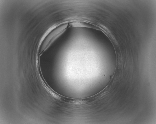 X0000079291188200612011716