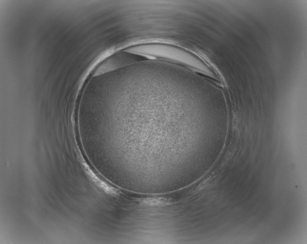 X0000079291189200612011716