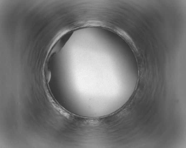 X0000079291190200612011716
