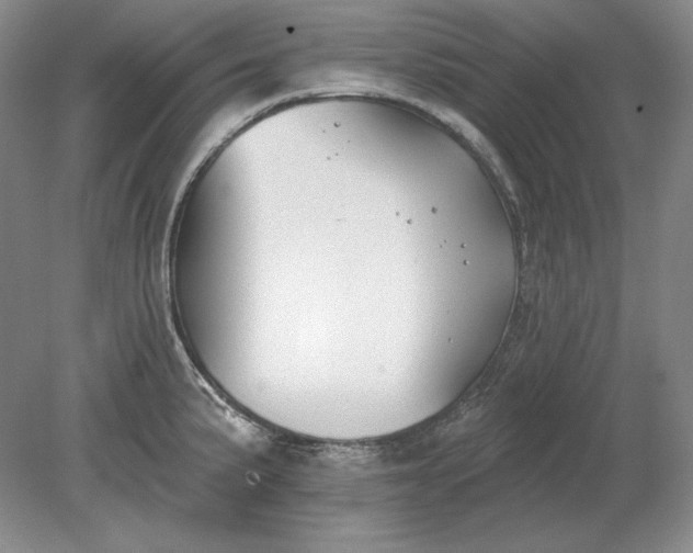 X0000079291191200612011716