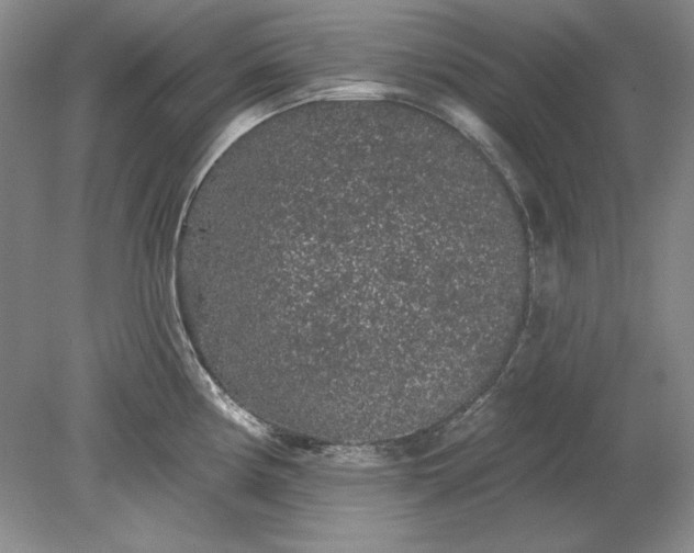X0000079291194200612011716
