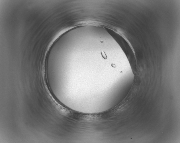 X0000079291195200612011716