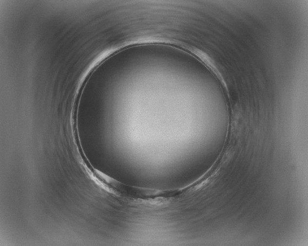 X0000079291197200612011716