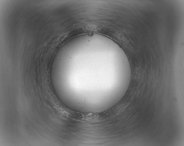 X0000079291201200612011715