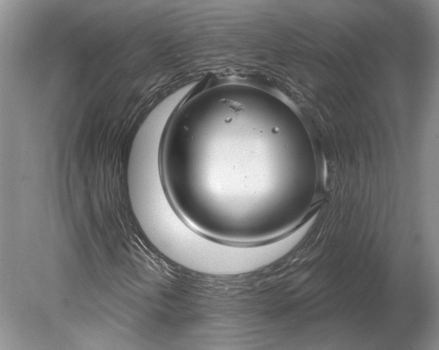 X0000079291202200612011715