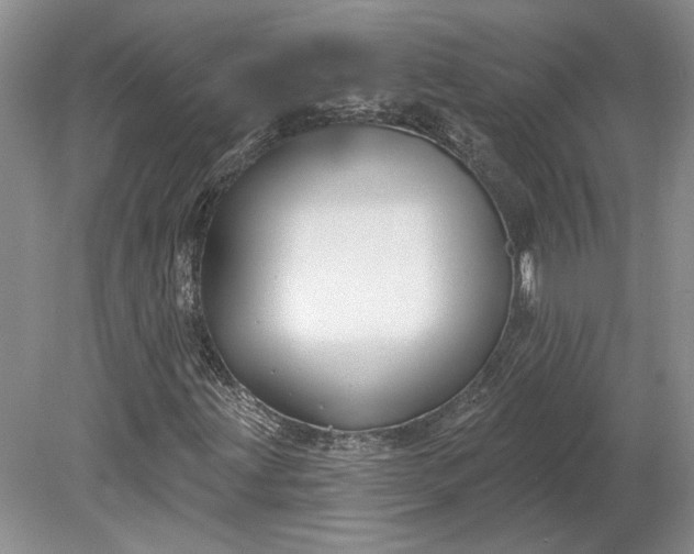 X0000079291203200612011715