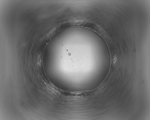 X0000079291204200612011715