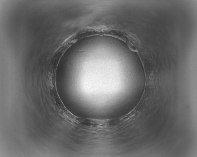 X0000079291205200612011715