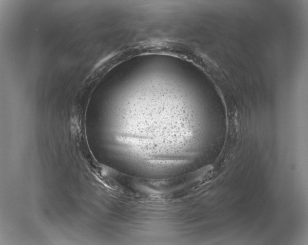 X0000079291206200612011715