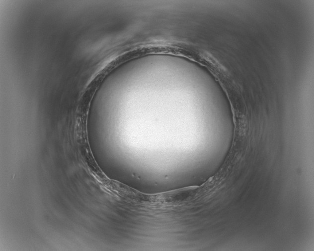 X0000079291208200612011715
