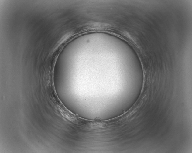 X0000079291211200612011715