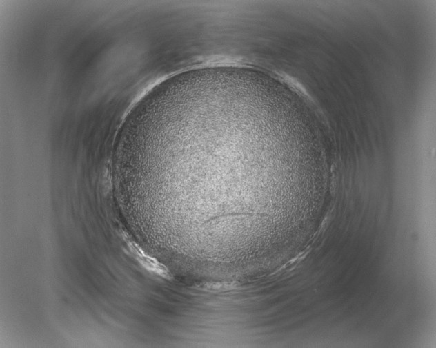 X0000079291212200612011715