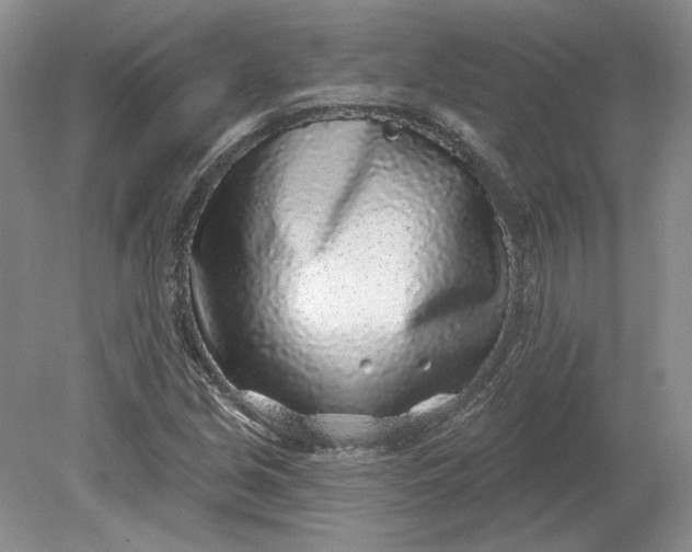 X0000079291213200612011715