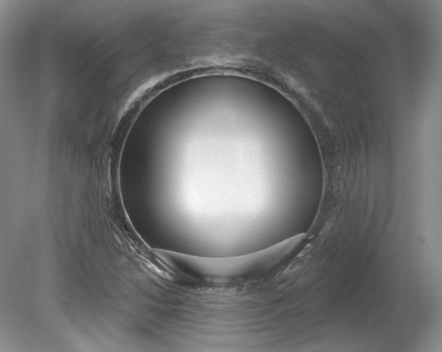 X0000079291214200612011715
