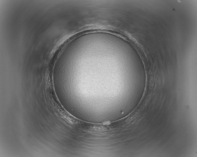 X0000079291215200612011715