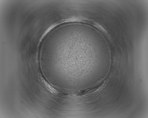 X0000079291216200612011715