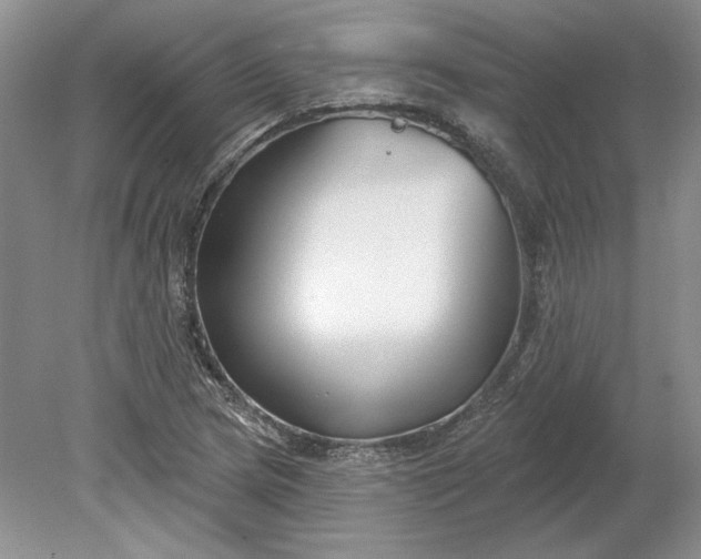 X0000079291217200612011715