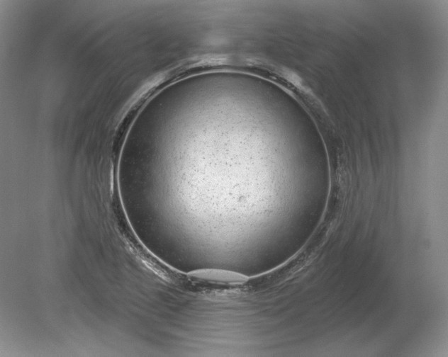 X0000079291221200612011715