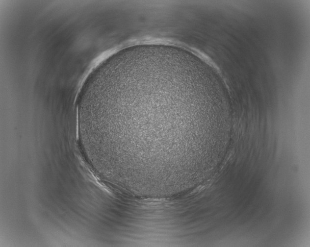 X0000079291223200612011715