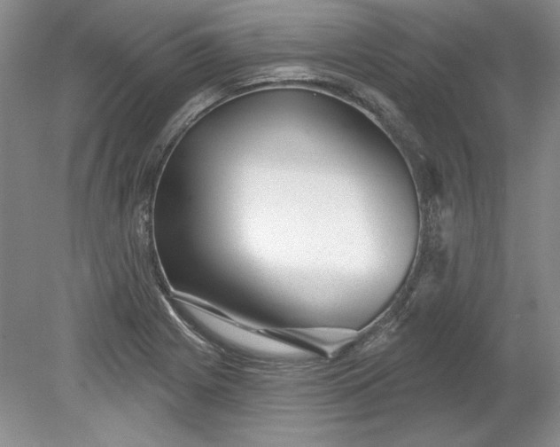 X0000079291225200612011715