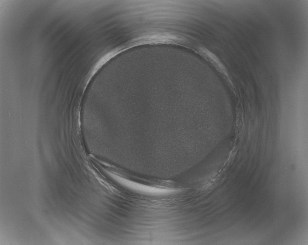 X0000079291226200612011715