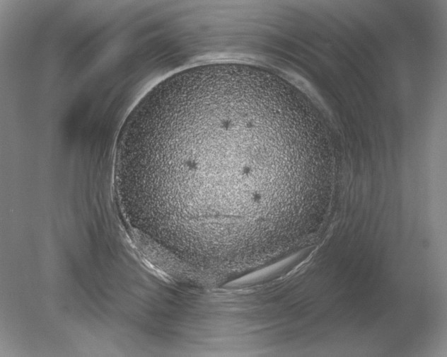 X0000079291228200612011715