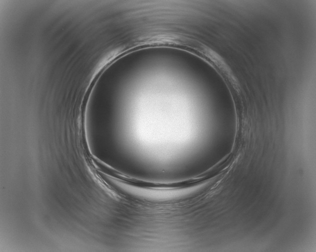 X0000079291234200612011715