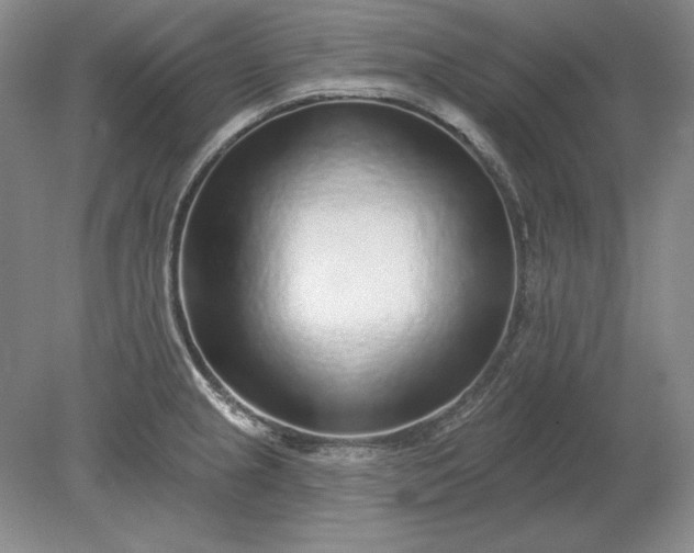 X0000079291237200612011715