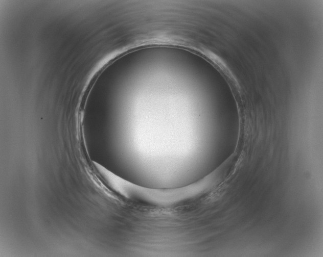 X0000079291238200612011716