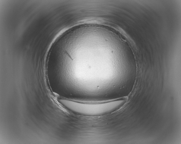X0000079291240200612011716