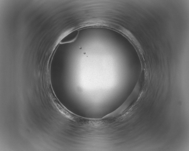 X0000079291242200612011716