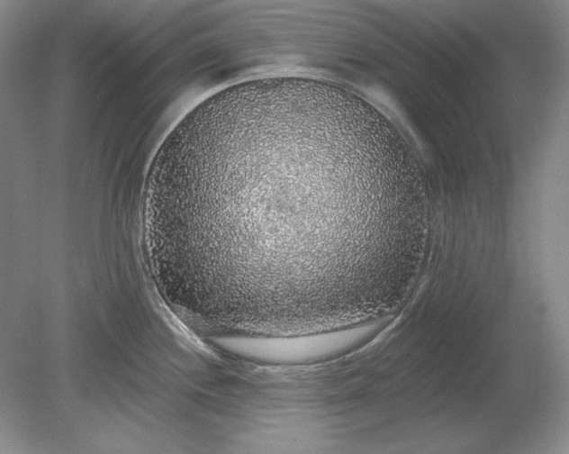 X0000079291244200612011716