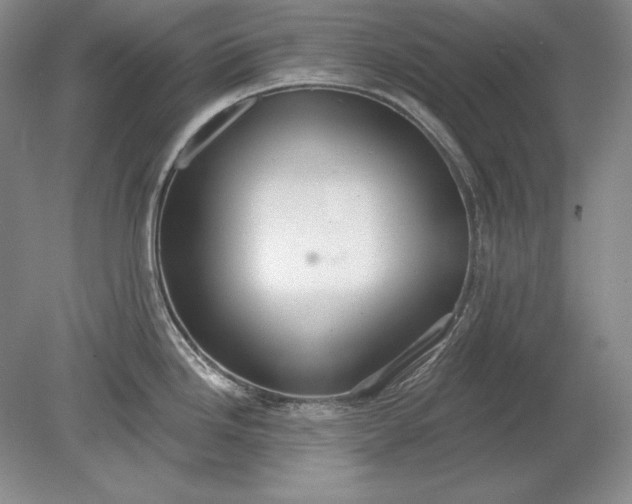 X0000079291246200612011716