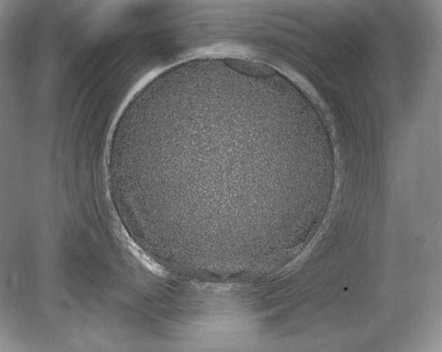X0000079291248200612011716
